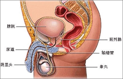 男性前列腺炎症状有哪些